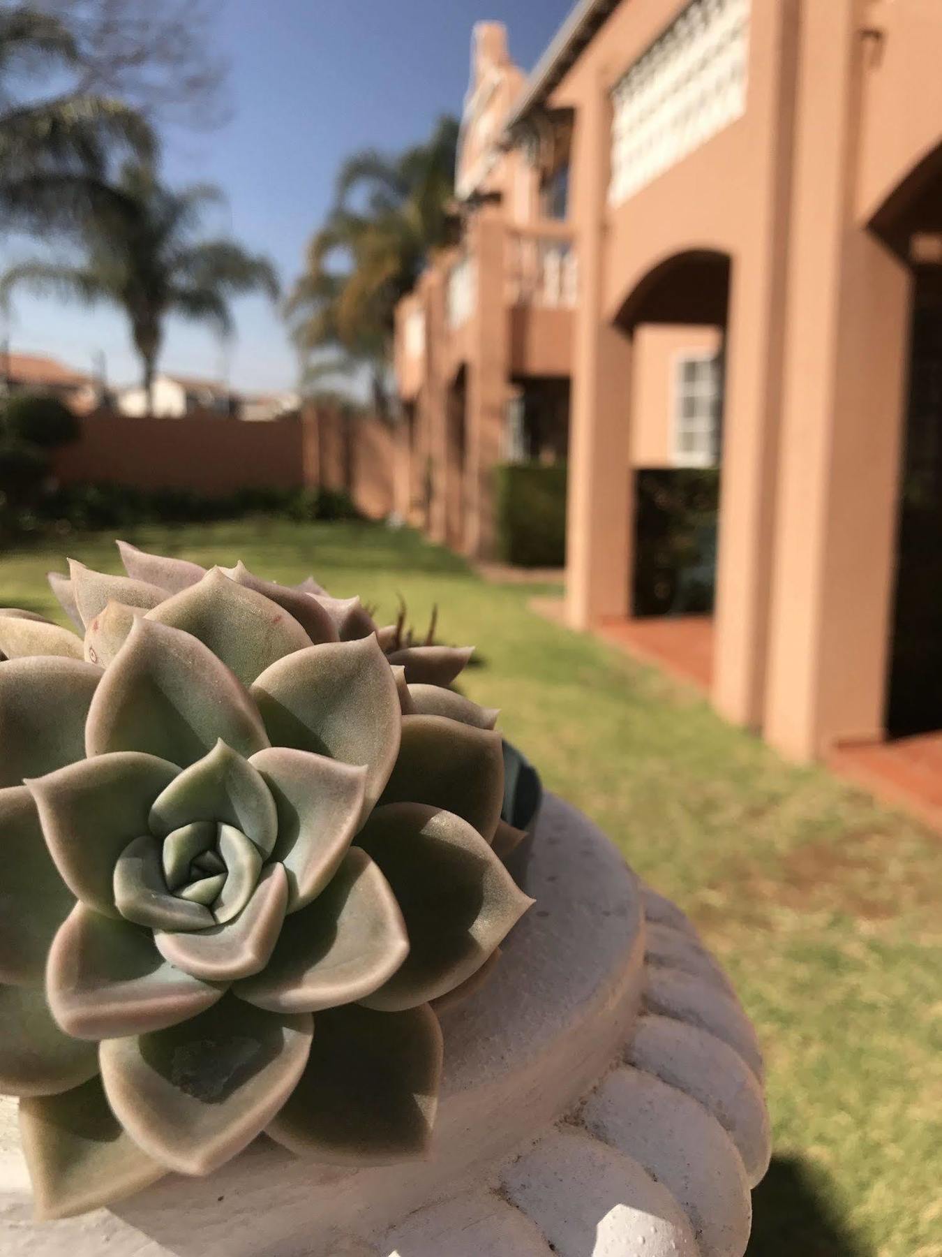 The Elegant Lodge Menlo Park Pretoria Bagian luar foto