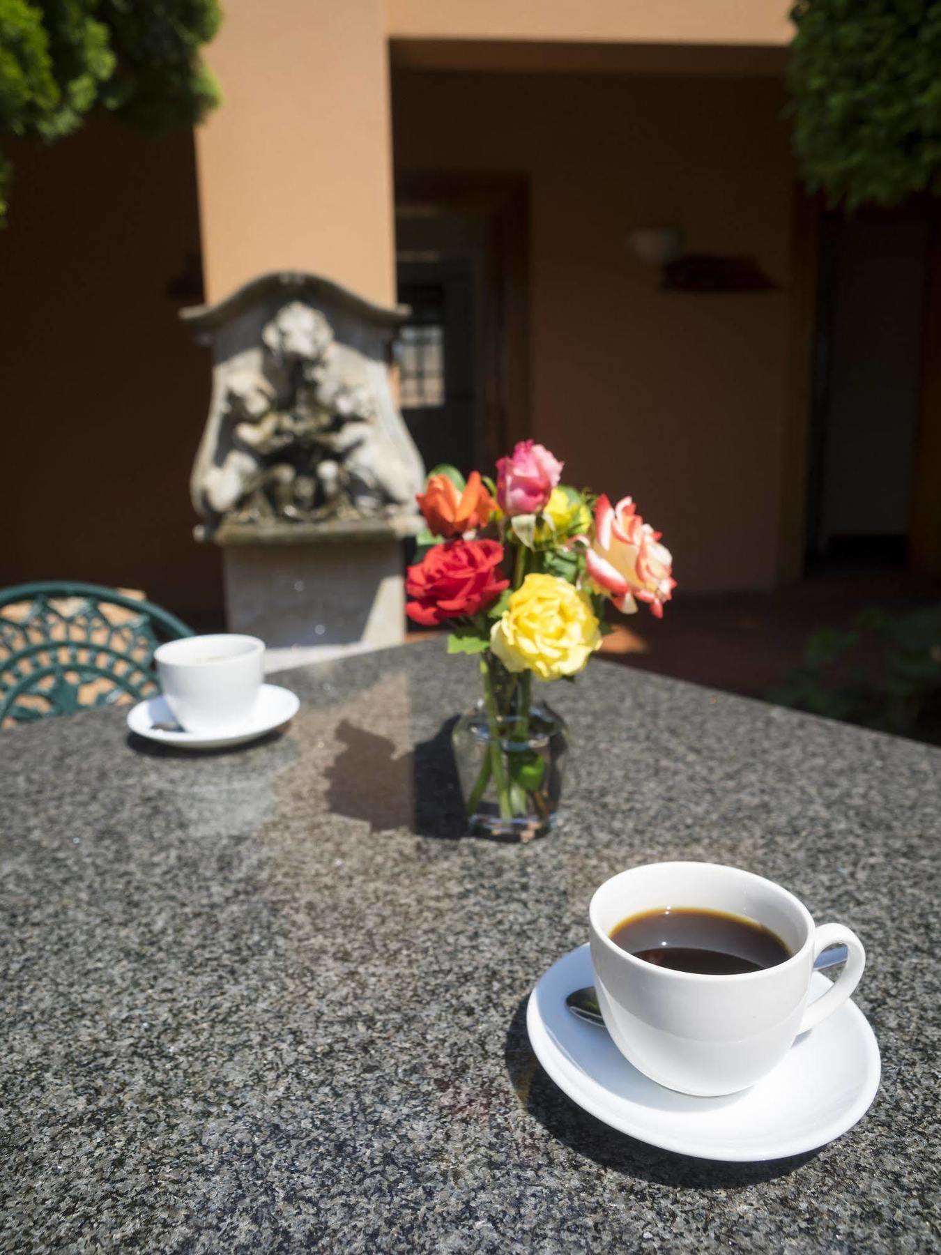 The Elegant Lodge Menlo Park Pretoria Bagian luar foto